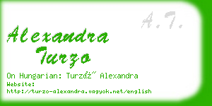 alexandra turzo business card